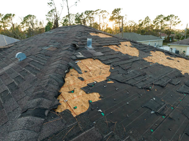 Best Storm Damage Roof Repair  in Rotan, TX